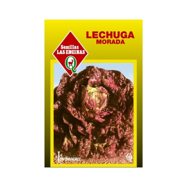 LECHUGA MORADA 4  ESTACIONES