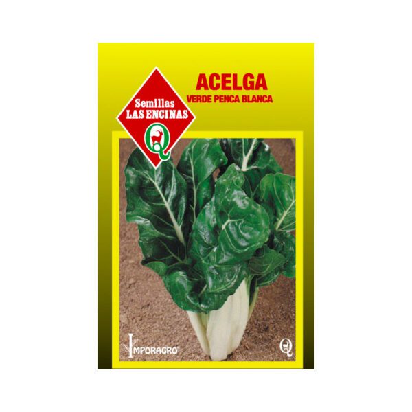 ACELGA VERDE PENCA BLANCA