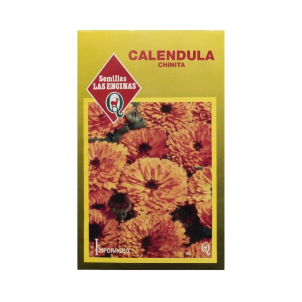 CALENDULA CHINITA