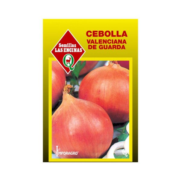 CEBOLLA VALENCIANA DE GUARDA