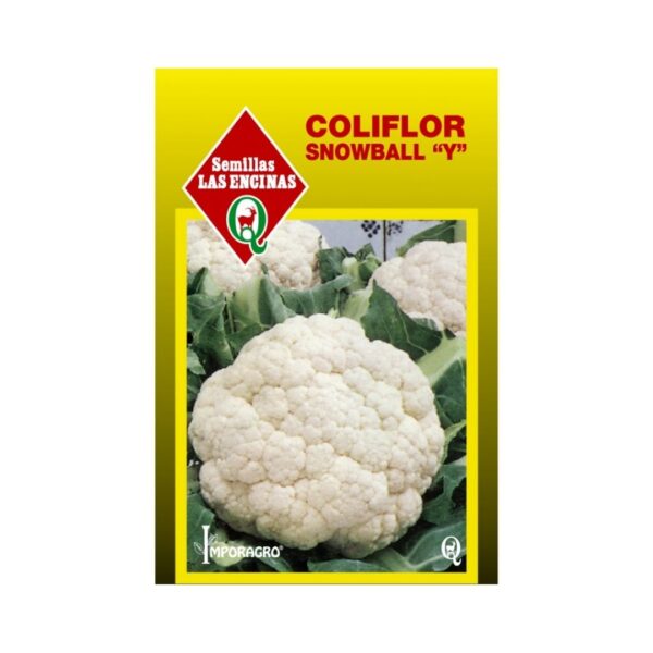 COLIFLOR SNOWBALL "Y"